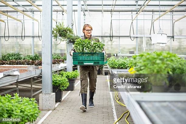 young man working in garden center - tuincentrum stockfoto's en -beelden