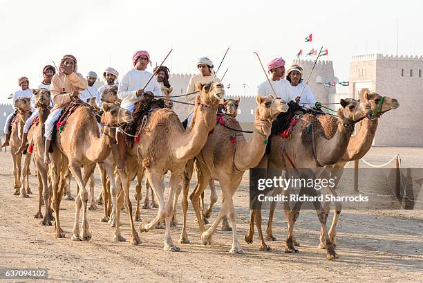 emirati camel riders - arab festival stock pictures, royalty-free photos & images