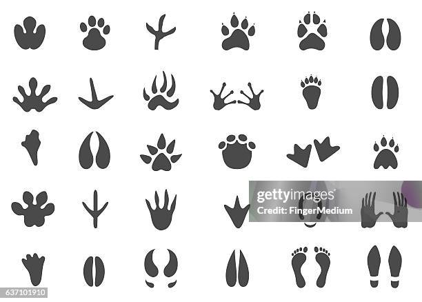 footprints icon set - goats foot stock illustrations