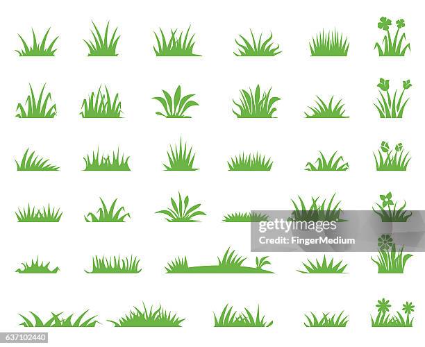 ilustrações de stock, clip art, desenhos animados e ícones de grass icons - relvado