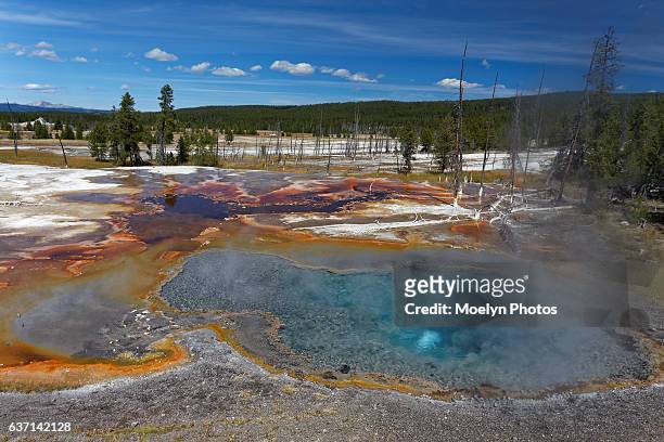 thermal pool-yellowstone national park - algue bleue photos et images de collection