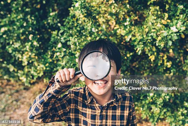boy holding a magnifying glass. - magnifying glass nature stock-fotos und bilder