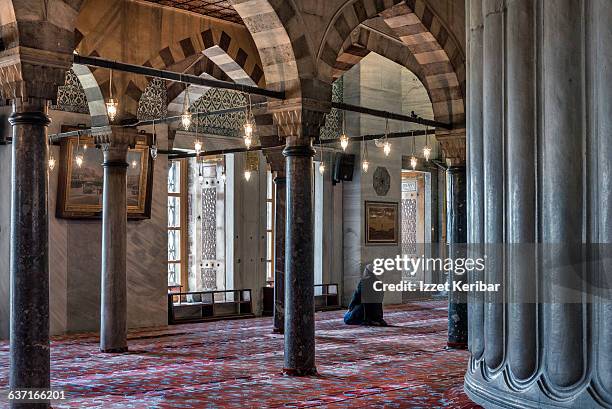 interior view of the blue mosque,istanbul,turkey - moschea blu istanbul foto e immagini stock