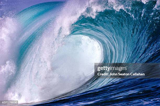 waimea bay - waimea bay hawaii stock pictures, royalty-free photos & images