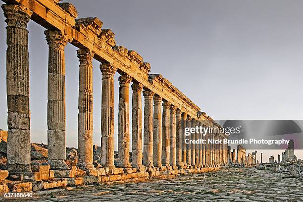 Shellstone Syria The Syrian Stone Photos and Premium High Res Pictures - Getty Images