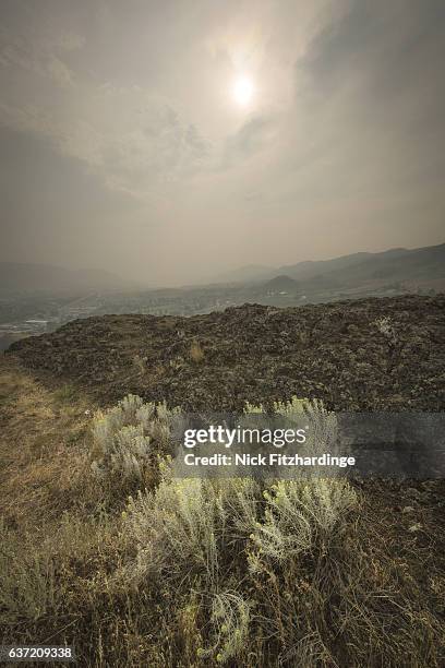 fire smoke from nearby wildfires engulfs the sky in the okanagan, turtle mountain, vernon, british columbia, canada - engulfs stock pictures, royalty-free photos & images