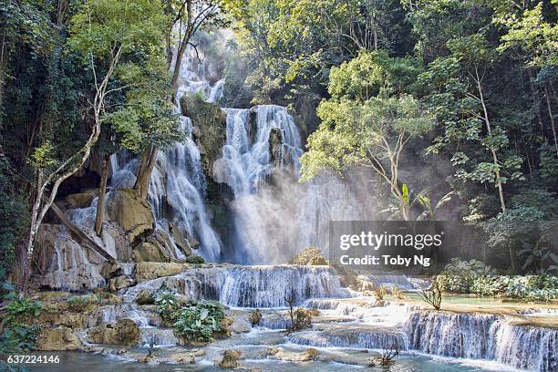 kuang si waterfall, luang prabang province, laos (lao pdr) - kuang si falls stock pictures, royalty-free photos & images
