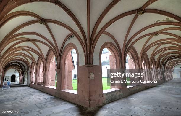 kloster eberbach (eberbach abbey) - eltville am rhein - il nome della rosa stockfoto's en -beelden