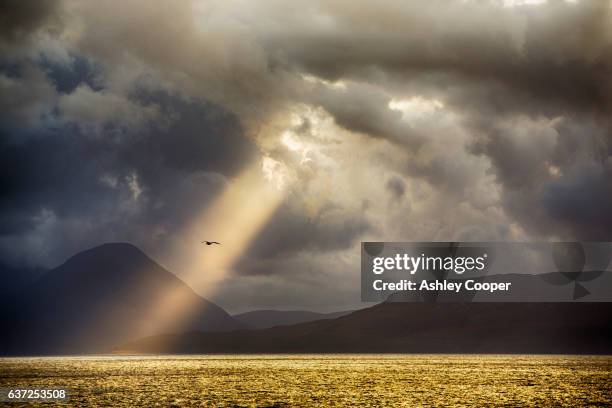 jacobs ladders over the inner sound between applecross and raasay, with the isle of skye in the distance, scotland, uk, with a gull flying past. - isle of skye stock pictures, royalty-free photos & images