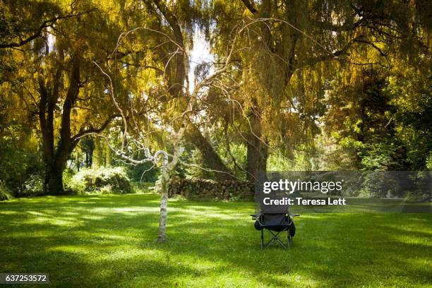 empty camp chair in a beautiful yard - ada township michigan stock pictures, royalty-free photos & images