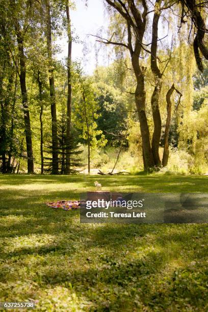 scenic landscape with picnic - ada township michigan stock pictures, royalty-free photos & images