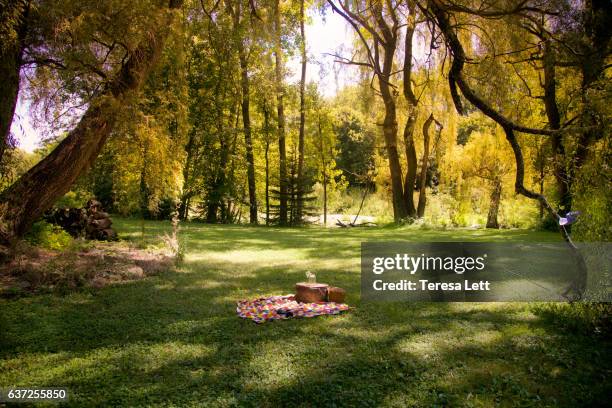 scenic landscape with picnic - romantic picnic stockfoto's en -beelden
