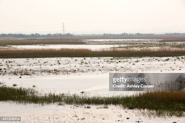 steart marshes on the parrot estuary in somerset. a wildlife reserve that has been created by managed retreat. this is where a section of sea defences has been deliberatley breached to allow the sea to reflood former areas of salt marsh that were reclaime - piana del somerset foto e immagini stock