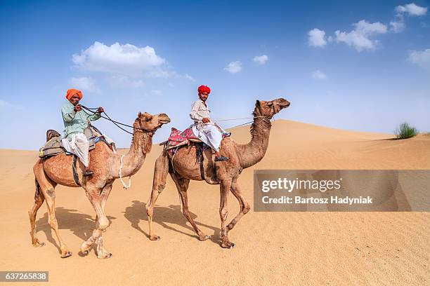 indische männer reiten kamele auf sanddünen, rajasthan, indien - bedouin stock-fotos und bilder