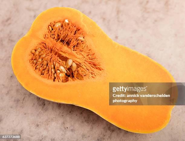 butternut pumpkin. cross section. - squash seeds stock-fotos und bilder