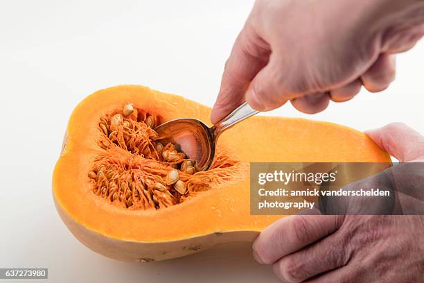 butternut pumpkin. removing the seeds. - fruit flesh stock pictures, royalty-free photos & images