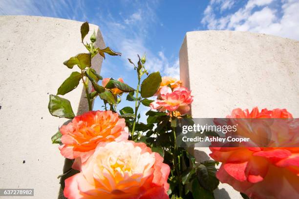 first world war graves at a cemetary on the somme, northern france. - conflict minerals stock pictures, royalty-free photos & images