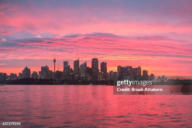 sydney cbd and the opera house on sunset. - sydney ferry stock pictures, royalty-free photos & images