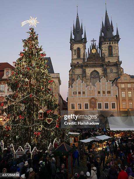 プラハ旧市街広場の美しいクリスマスツリー - プラハオールドタウンスクエア ストックフォトと画像