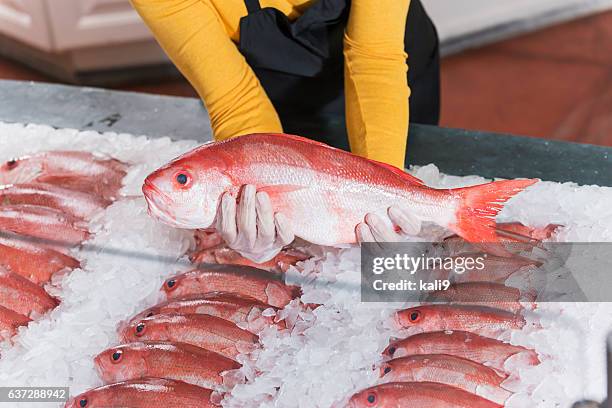 fresh fish, red snapper, for sale in seafood store - rode snapper stockfoto's en -beelden