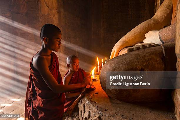 young buddhist monks in - cambodian stock pictures, royalty-free photos & images