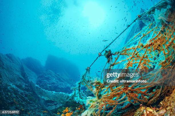 old fishing nets underwater reef  scuba diver point of view - kommersiellt fisknät bildbanksfoton och bilder