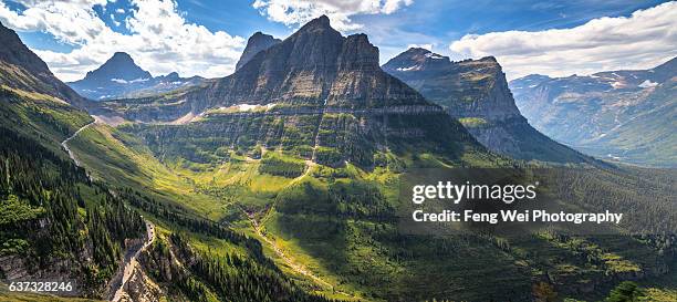 summer scenery near logan pass, glacier national park, montana, usa - going to the sun road stock pictures, royalty-free photos & images