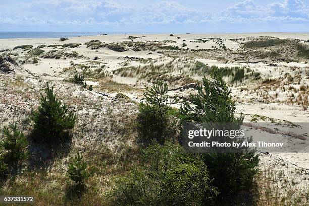 Sceronian Rocks 151 Curonian Spit National Park Stock Photos, High-Res Pictures, and ...
