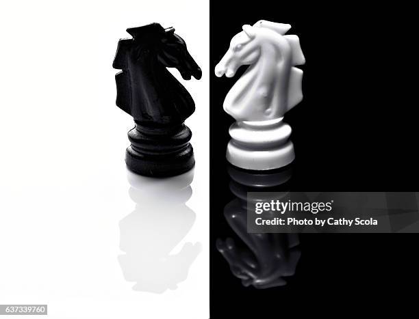 chess knights - chess piece stock pictures, royalty-free photos & images