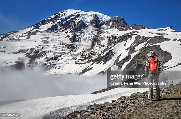 hiking on skyline trail, mount rainier national park, washington usa - mount rainier nationalpark stock-fotos und bilder