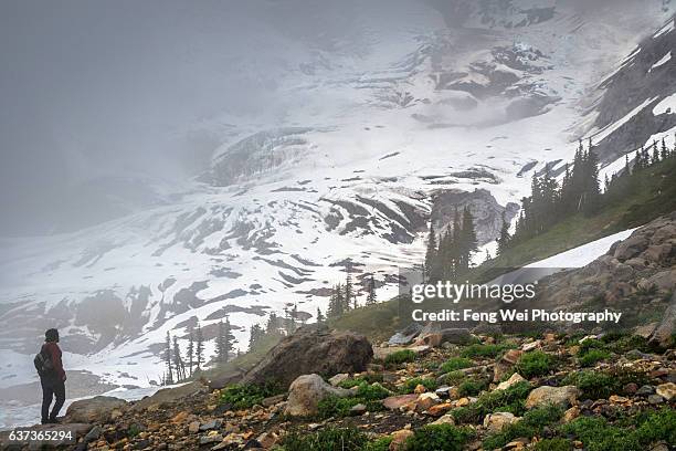 solo hiker & misty mountain, mount rainier national park, washington usa - sentier skyline photos et images de collection