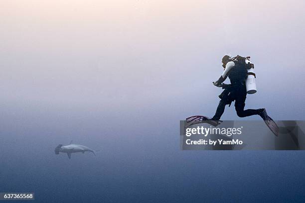 a man and the hammer - diving sharks stock pictures, royalty-free photos & images