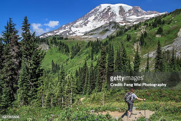 summer hike on skyline trail, mount rainier national park, washington usa - mt rainier - fotografias e filmes do acervo