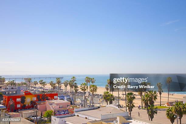 pacific ocean and palms, venice, california - venice stock-fotos und bilder