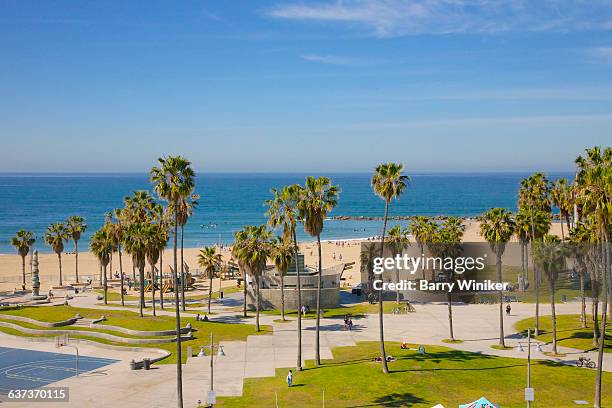 pacific ocean and palms, venice, california - los angeles park stock pictures, royalty-free photos & images