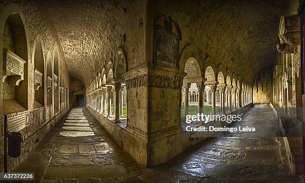 gerona cathedral. romanesque cloister - claustro fotografías e imágenes de stock