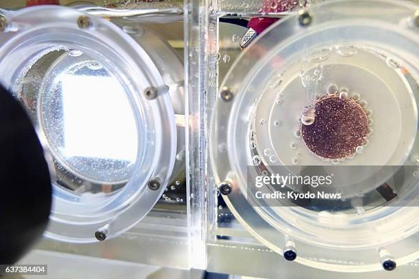 Japan - Panasonic Corp.'s experimental equipment for an artificial photosynthesis system is photographed on April 16, 2014. Application of light to...