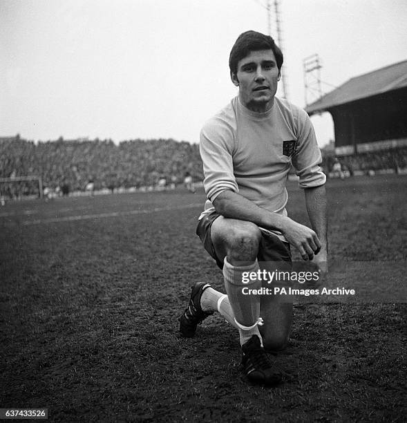 55 Colin Viljoen Stock Photos, HighRes Pictures, and Images Getty Images