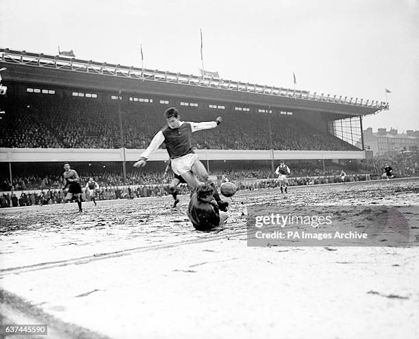 12 Owen Medlock Stock Photos, High-Res Pictures, and Images - Getty Images