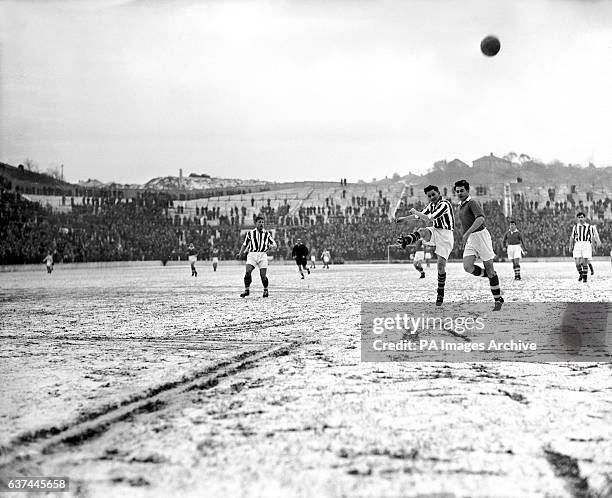 Stuart Leary 31 Len Millard Stock Photos, High-Res Pictures, and Images - Getty Images