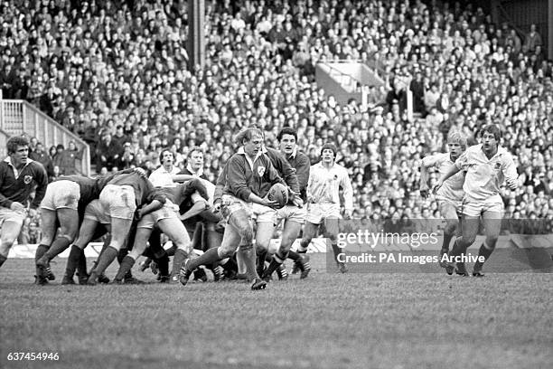 Ireland's Robbie McGrath prepares to kick downfield, watched by teammates Fergus Slattery and Willie Duggan , and England's John Scott , Peter...