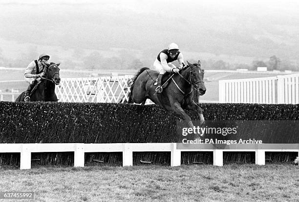 Duke Rowe 41 Richard G Butler Stock Photos, High-Res Pictures, and Images - Getty ...