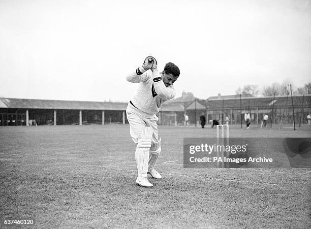 104 Allan Rae Stock Photos, High-Res Pictures, and Images - Getty Images