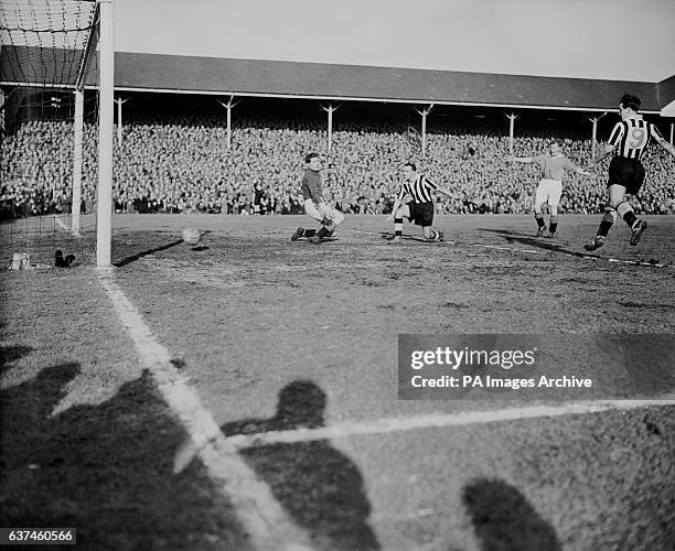 57 Ron Wylie Stock Photos, HighRes Pictures, and Images Getty Images