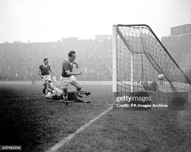 Stuart Leary 218 Bob Appleby Stock Photos, High-Res Pictures, and Images - Getty Images