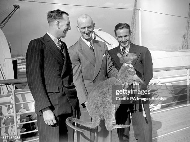 The Australian Rugby team arrive in England. Bill McLean , Arnold Tancred , Trevor Allan and mascot 'Wally'