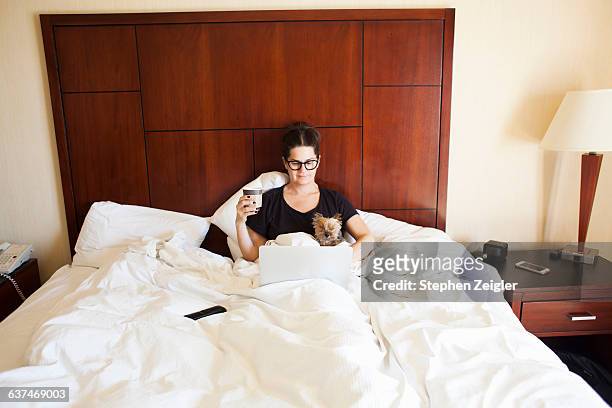 woman in hotel bed on working on her laptop - pleased face laptop stock pictures, royalty-free photos & images