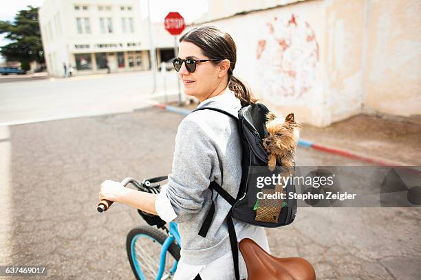 woman cycling with small dog in backpack - dog backpack stock pictures, royalty-free photos & images