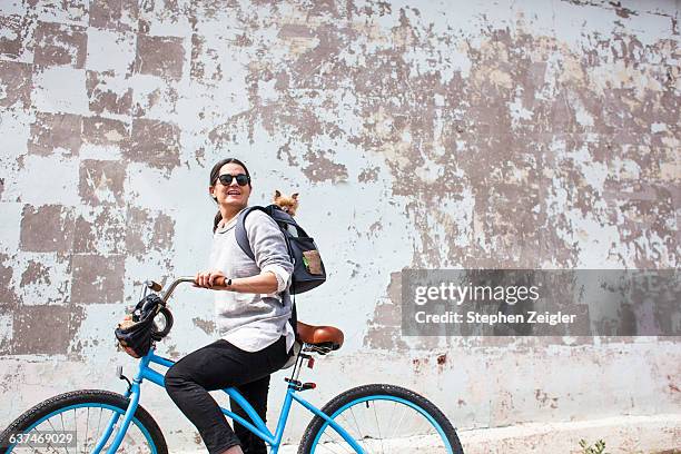 woman on blue bike with small dog - mature woman active lifestyle stock pictures, royalty-free photos & images