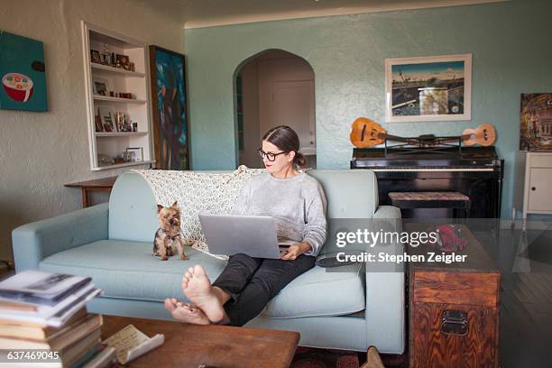 woman sitting on couch with laptop computer - woman home sit foto e immagini stock